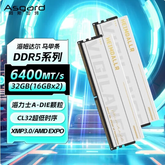 阿斯加特（Asgard）32GB(16GBx2) DDR5 6400 海姆达尔  海力士A-die CL32 极地白 6400MHz 极地白 32GB 1套