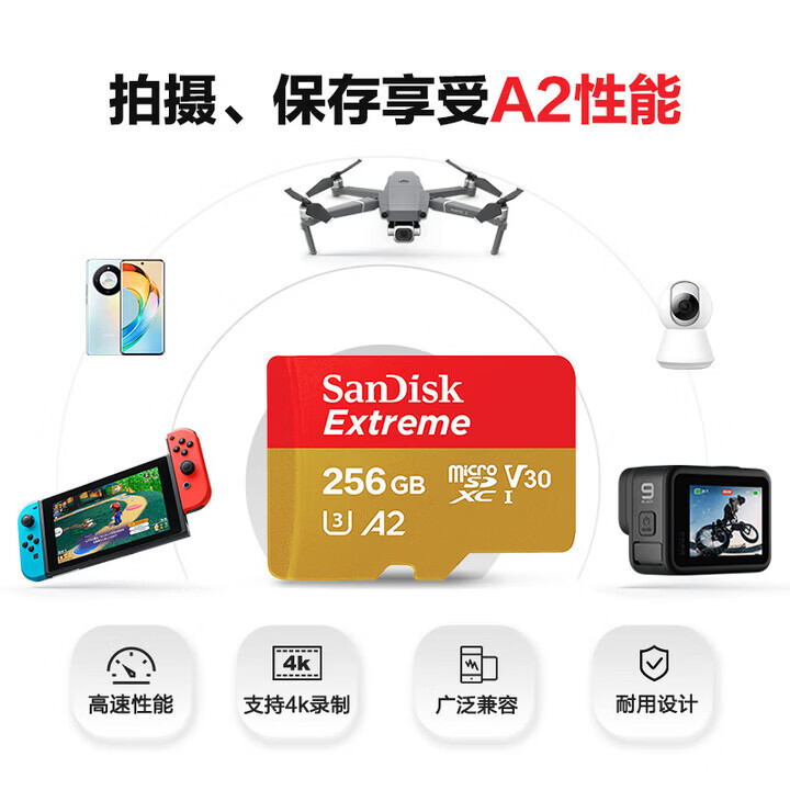 闪迪（SanDisk）创作者系列 新品闪迪TF存储卡行车记录仪运动相机卡支持5.3K录制pocket3内存卡A2 U3 V30极速粉卡 极速金卡256G【190M/S运动相机无人机卡】