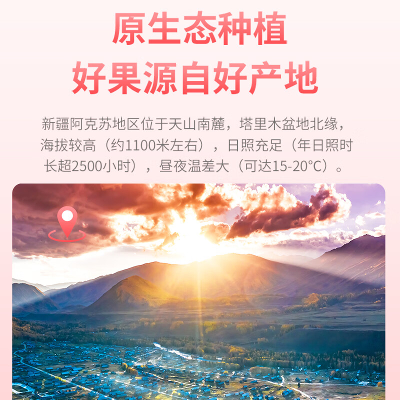 密园小农新疆苹果阿克苏冰糖心苹果新2025鲜当季应季时令丑苹果水果红富士 8斤 单果80-85mm【品质大果】