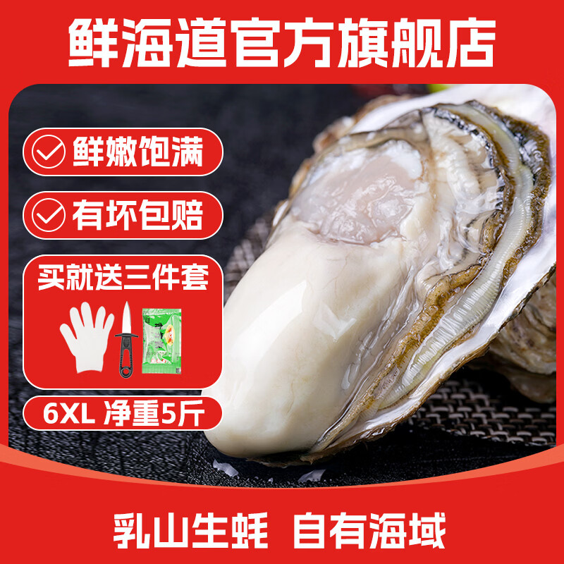 鲜海道鲜活乳山生蚝6XL 净重5斤 6-9只生鲜海鲜贝类源头直发聚餐露营