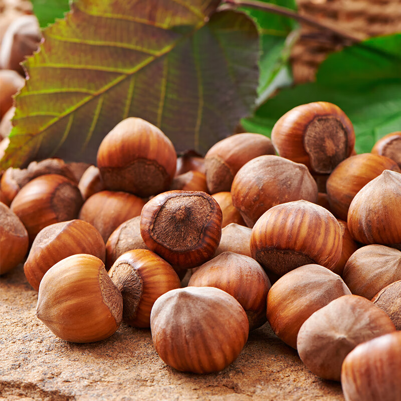 汤泉一品东北大榛子新货东北特产长毛大开口榛子薄皮榛子原味糖炒零食批发 东北开口榛子500g*3袋