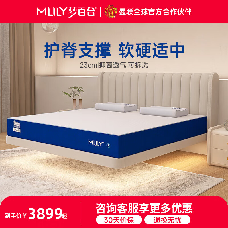 夢(mèng)百合【DR專(zhuān)屬】床墊快充獨(dú)袋彈簧記憶棉護(hù)脊床墊 家用雙人席夢(mèng)思 1.0 科學(xué)護(hù)脊支撐款-23cm 1.5米*2米