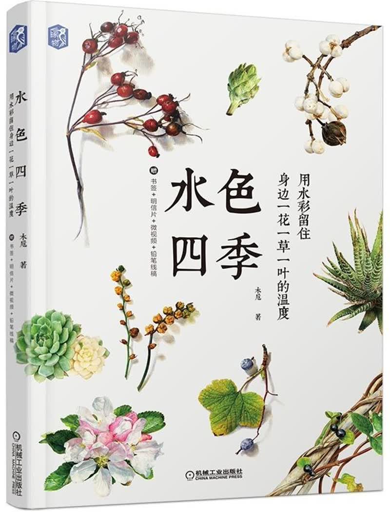 水色四季：用水彩留住身边一花一草一叶的温度