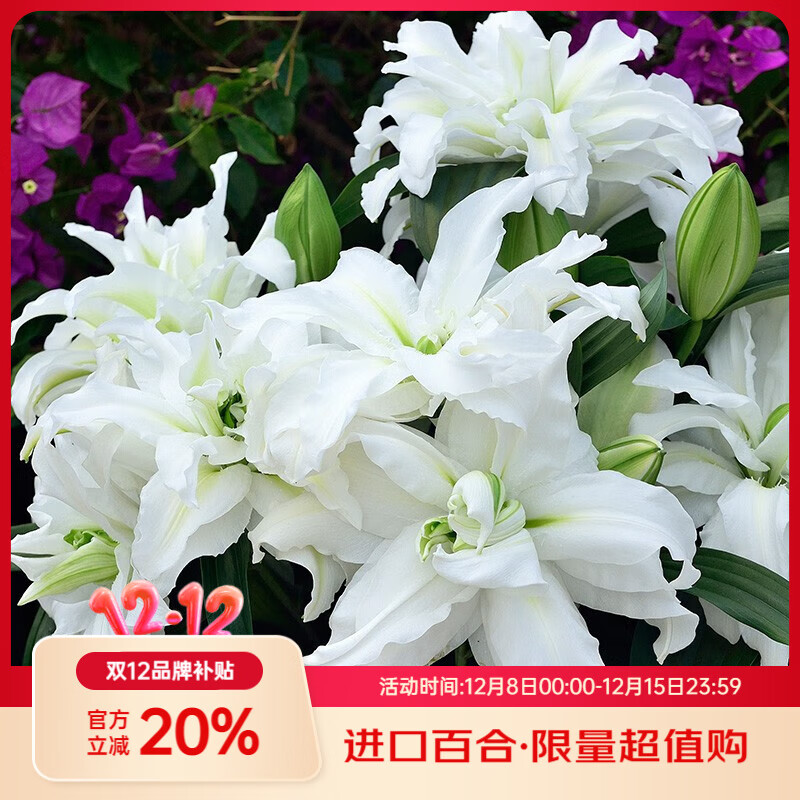 ԽHONGYUE2025ٺ3װ ζٺϻ԰ͥԺ ذ궫ٺϡɯ (17-19)ѿ 28.4Ԫ