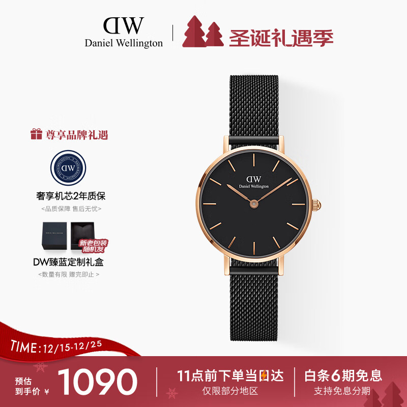 丹尼尔惠灵顿（DanielWellington）DW手表女经典钢带女士手表时尚欧美表送女友节日礼物DW00100245