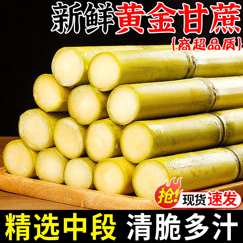 吉果叔 广西黄金甘蔗 当季新鲜脆甜黄皮甘蔗中段热带水果正宗特产包邮 净重4.5-5斤【精选中段】