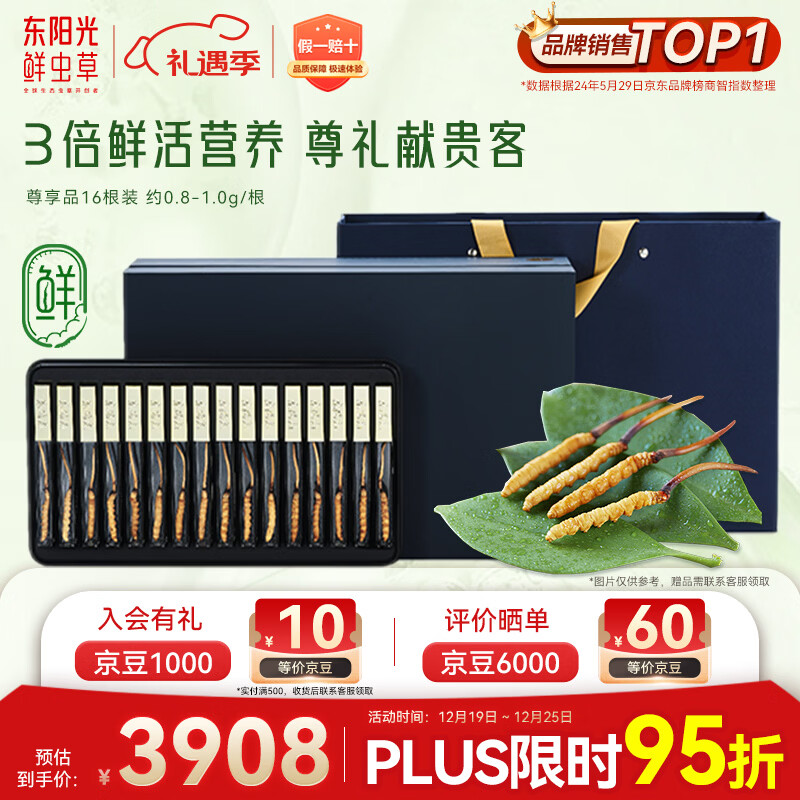 东阳光鲜虫草0.8-1g/根16根新鲜冬虫夏草补品送长辈老人源头直发包邮