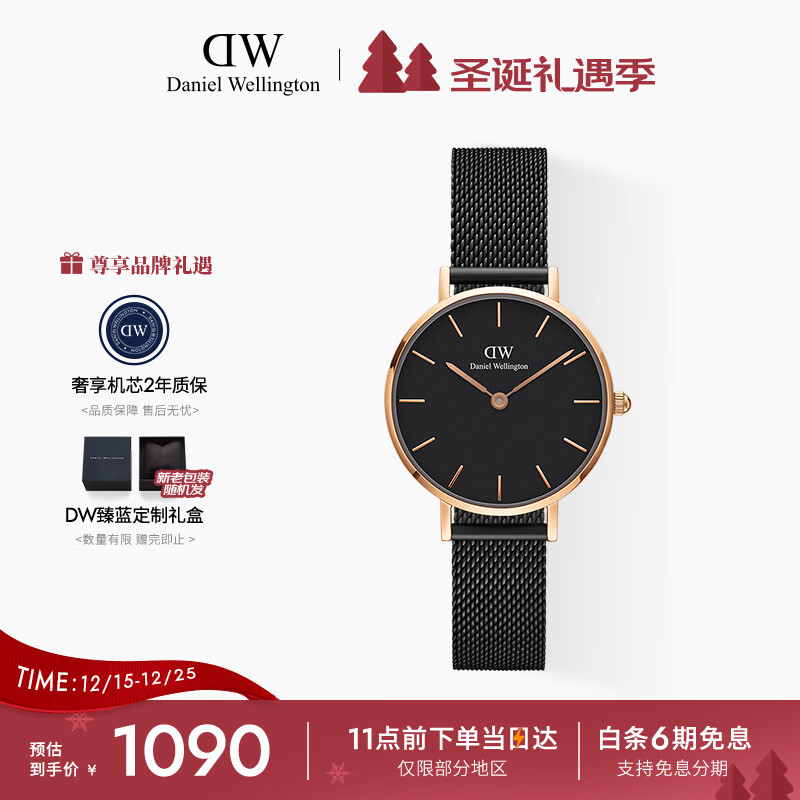 丹尼尔惠灵顿（DanielWellington）DW手表女经典钢带女士手表时尚欧美表送女友节日礼物DW00100245