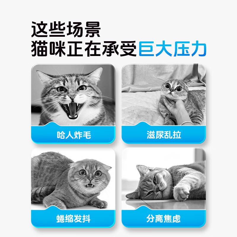 你的猫它为先80%费洛蒙防猫应激爆珠贴猫咪防应激费落蒙猫应激安抚情绪 【春节出行必备单品】捏捏舒单盒7贴