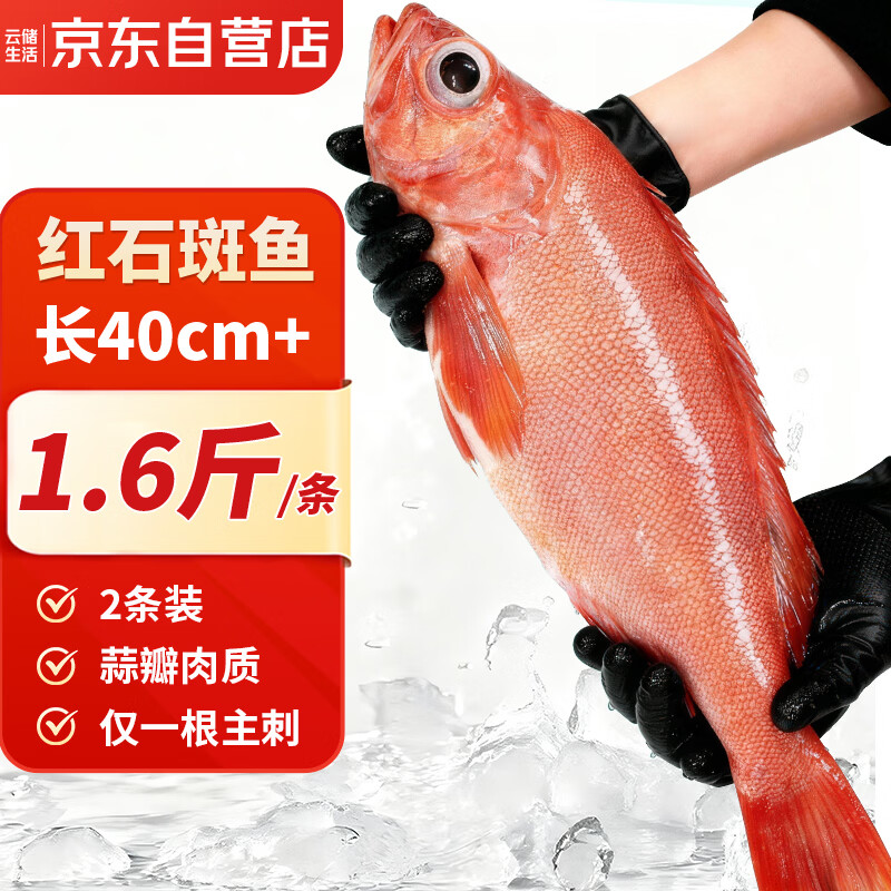 云储生活红石斑鱼海捕鲜活冷冻大眼鱼整条富贵鱼鱼类净重3.2斤共2条