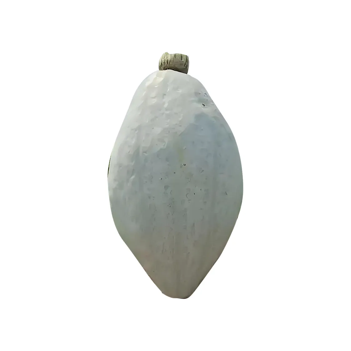 新疆贵族南瓜丑瓜非转基因贵妃南瓜南瓜瓜王软糯甜面老瓜 净重2斤体验装