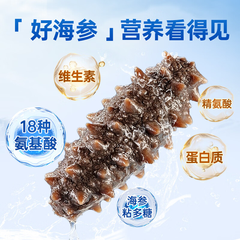 小兵海参鲜食海参正宗即食深海刺参 滋补营养礼盒独立包装 【三斤装】限时钜惠，买2斤送1斤到手3斤 10-12头/斤