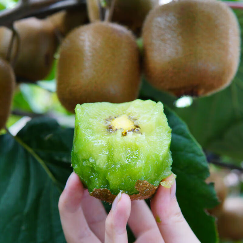 牛爱田 徐香猕猴桃陕西绿心猕猴桃奇异果新鲜水果 绿心果30枚单果60-80g 源产地直发