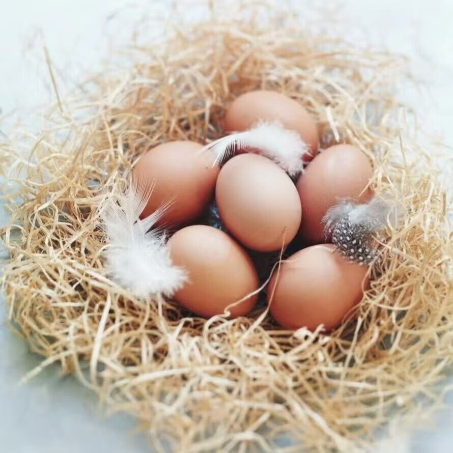 口袋饱饱谷物土鸡蛋农家散养土鸡蛋柴鸡蛋笨鸡蛋五谷喂养单枚40g-50g 谷物鲜鸡蛋50枚