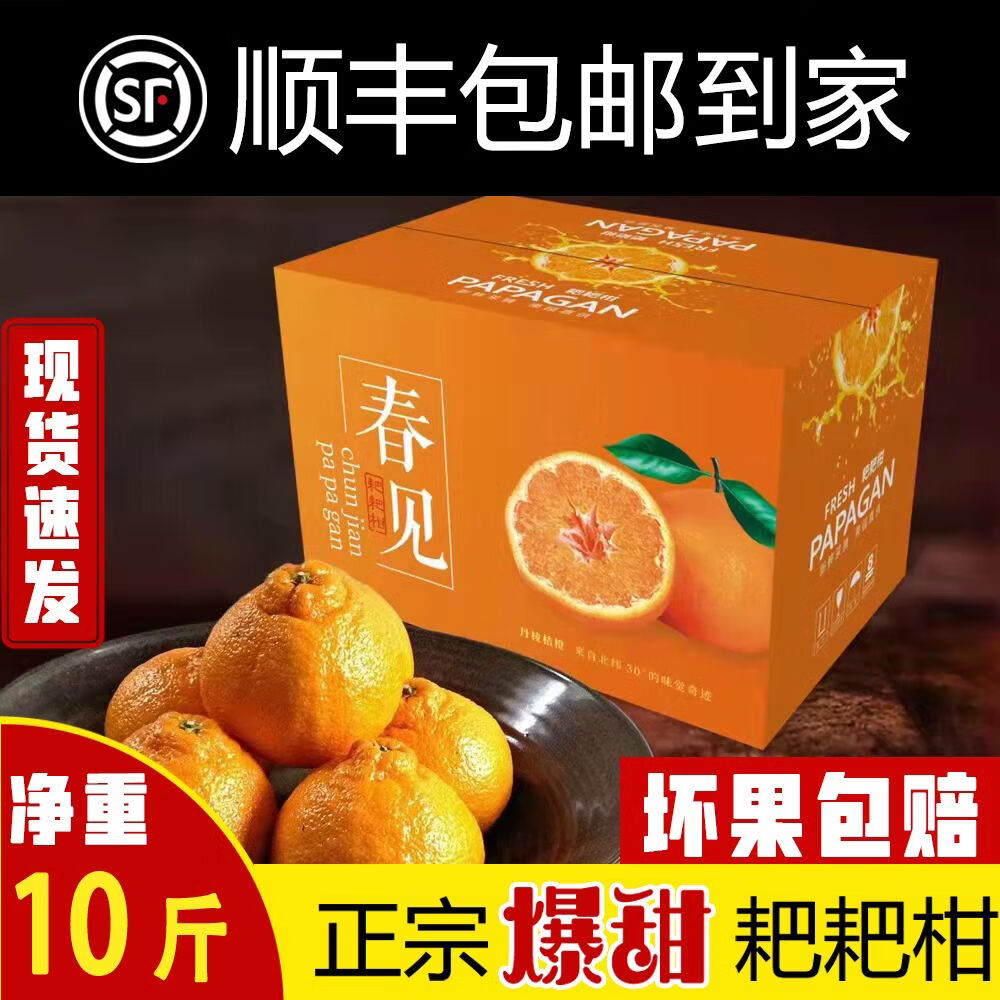 顺丰包邮正宗四川眉山春见耙耙柑应季新鲜水果柑橘孕妇正宗耙耙柑 精品特大果丨20个（含）以内 净重10斤