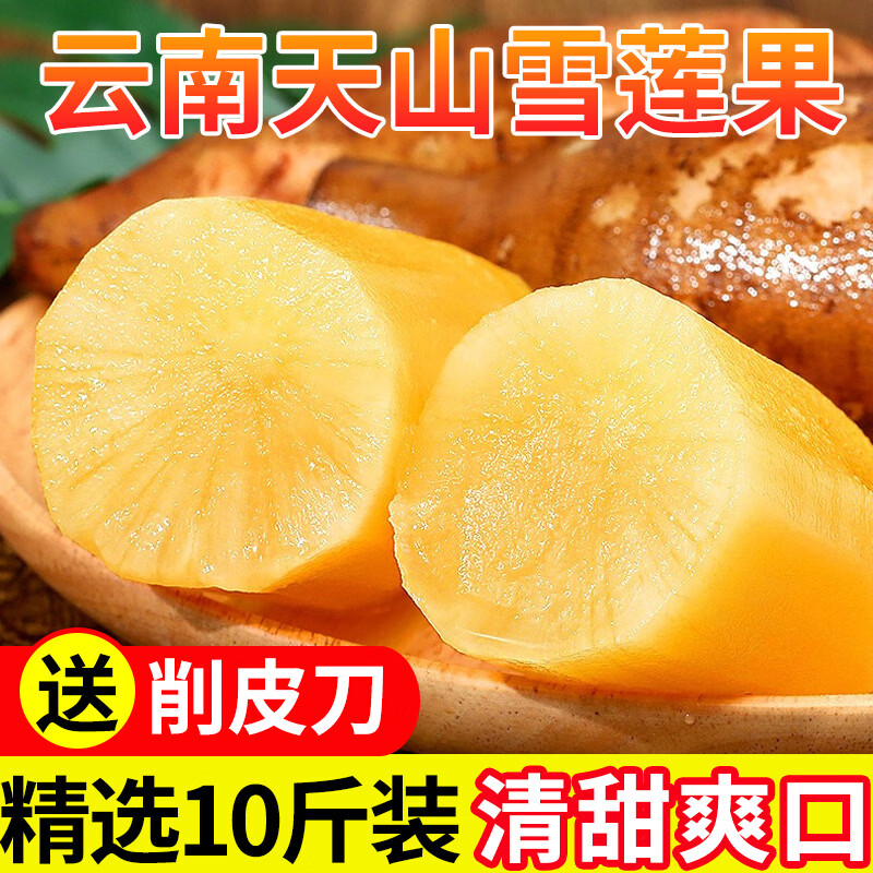 京鲜鲲云南特产天山雪莲果 天山红泥沙雪莲果黄心新鲜水果生鲜水果 优选净重9斤气柱包装