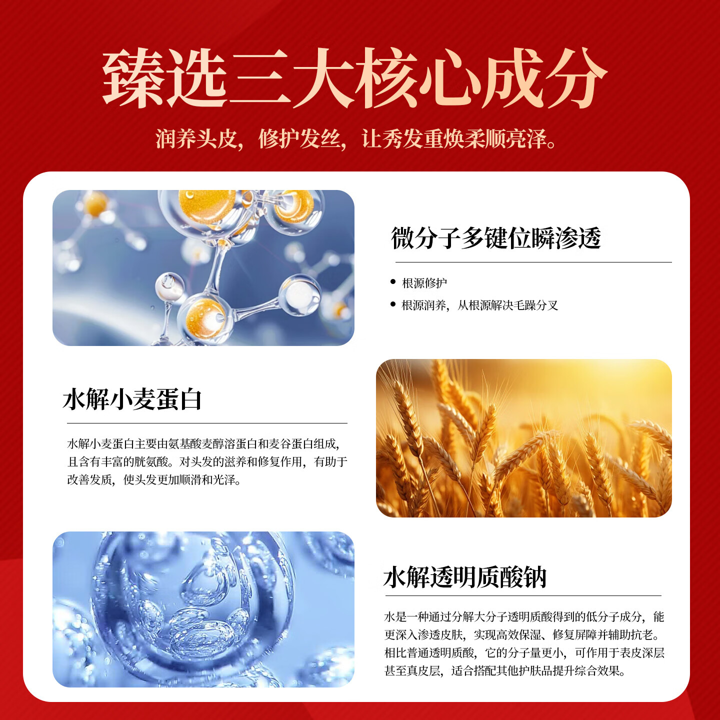 韩金靓芯源蛋白修护发膜霜蛋护发素官方品牌免蒸发膜改善干枯补水顺滑 滋养 300g*1盒