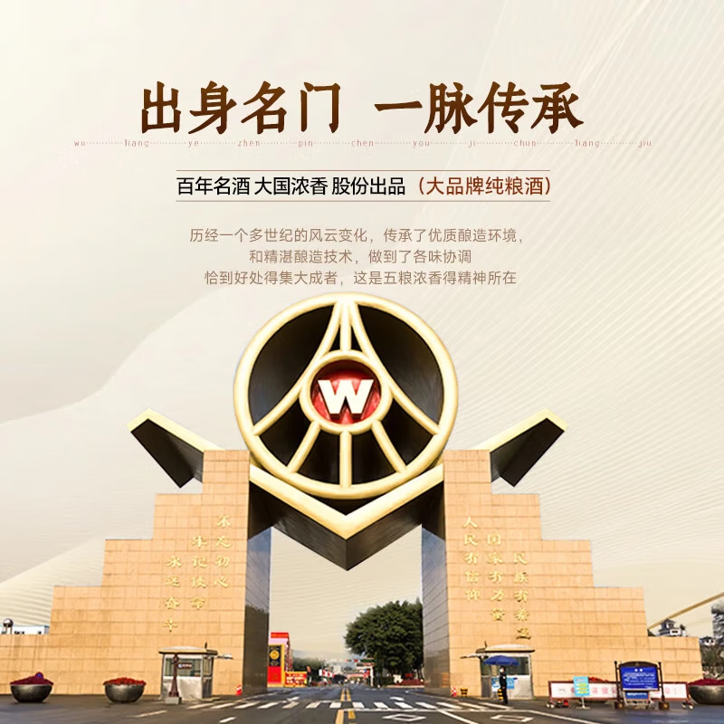 五粮浓香五粮液股份出品臻品陈白酒优级粮食酒礼盒年货季送礼礼物宴请自饮 52度 500mL 6瓶 五粮液整箱白酒礼盒