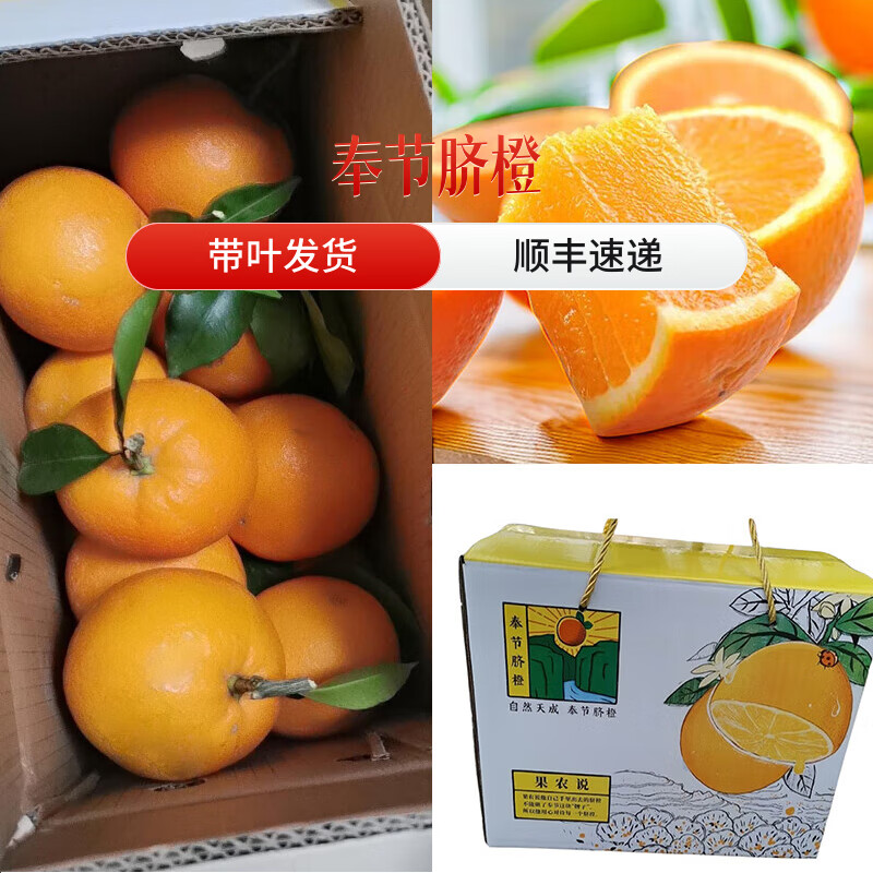 奉节脐橙正宗重庆奉节脐橙福本脐橙10斤装新鲜水果橙子魏家村带叶现摘现发 带箱10斤果径75-80mm(不含80)净重9-9.3斤