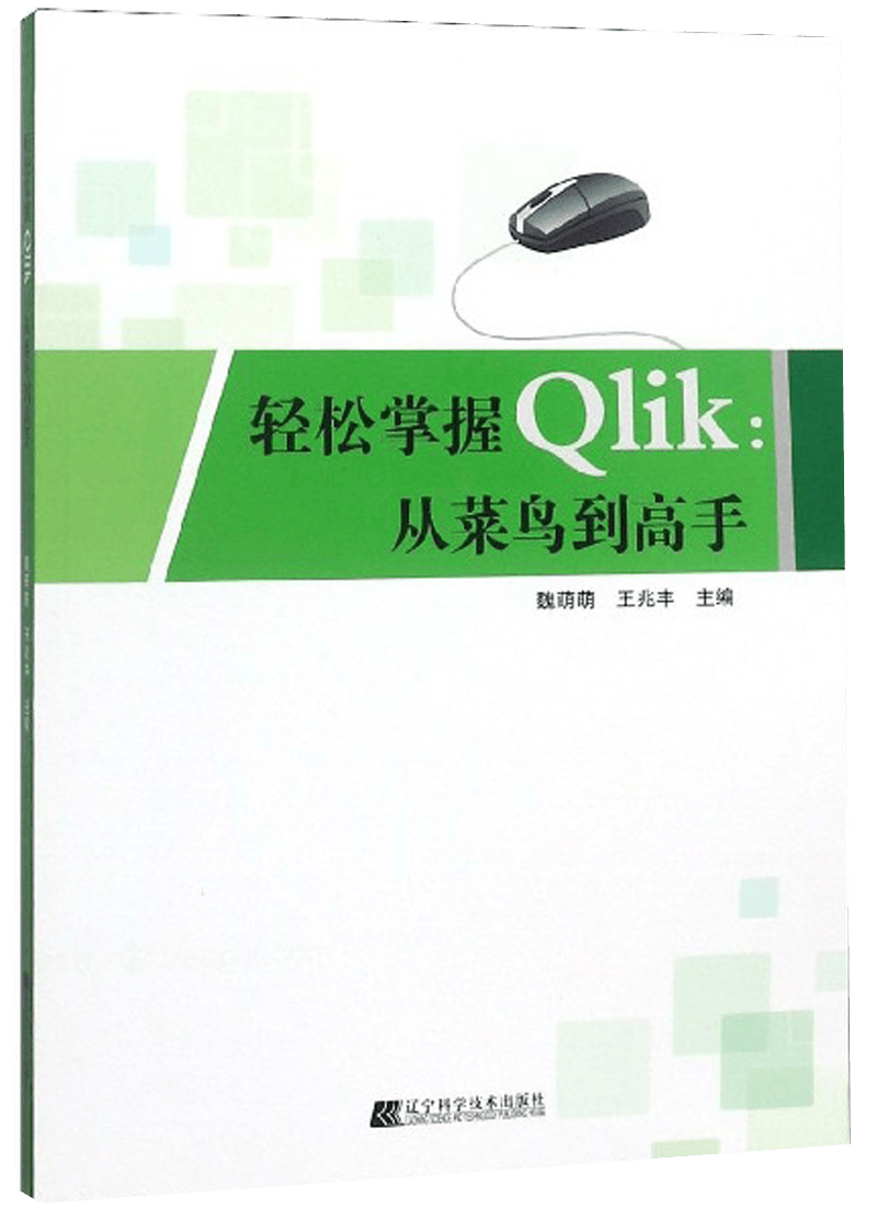 轻松掌握Qlik：从菜鸟到高手