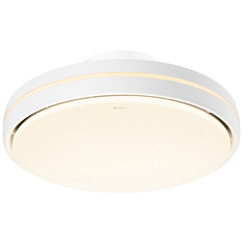 ��ţ��BULL����Ҷ���ȵ�һ��������GF39BT���ε��ȵƲ���91W�����������ǵ��� 824.36Ԫ(������)