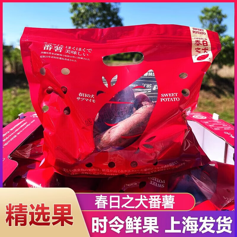 春日之犬红薯安纳芋板栗薯粗粮香甜新鲜番薯山芋生地瓜蜜薯 中果 普通