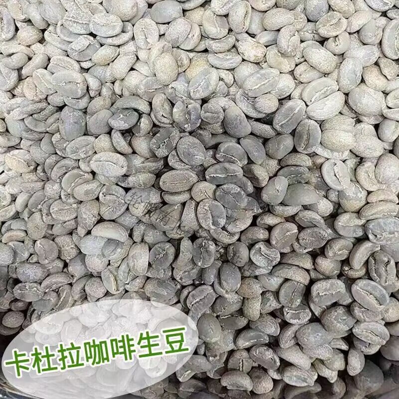 食怀现烘云南紫叶卡杜拉西双版纳精品手冲咖啡豆浅烘焙咖啡豆精品 卡杜拉咖啡生豆 500g