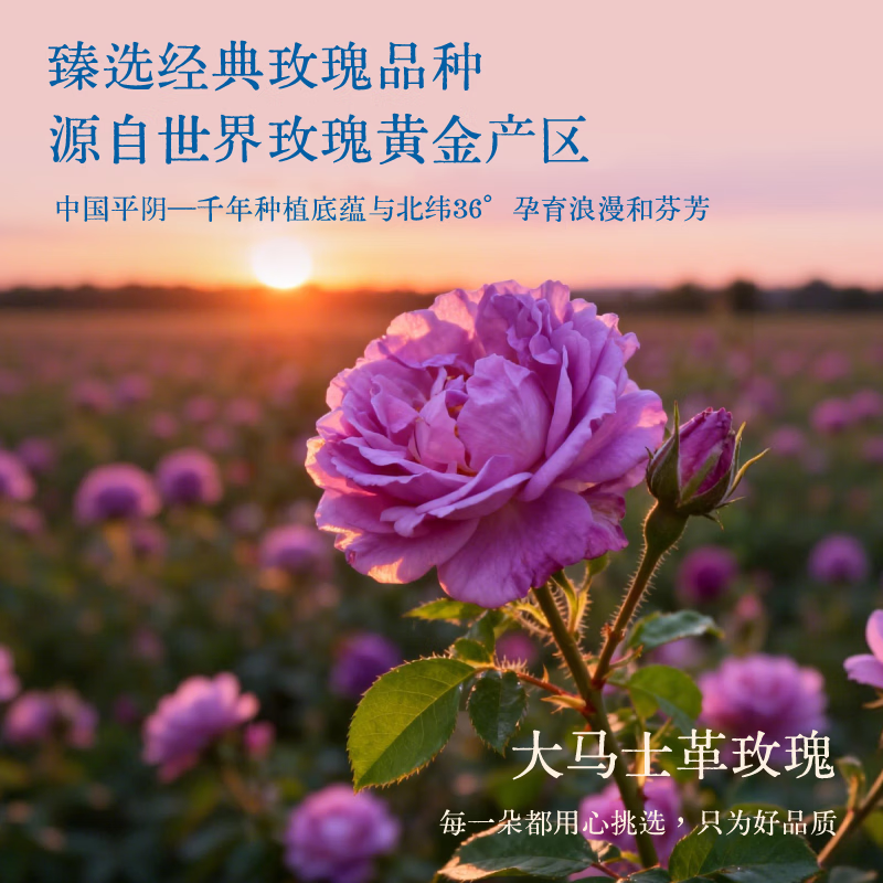 华夏药王暖宫贴暖身贴经期女生生理期紫苏大马士革玫瑰艾灸贴发热姨妈贴 3盒装