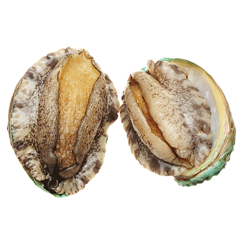 鲜京采  鲜活鲍鱼礼盒2斤（12-16只）保活到家 煲汤食材 源头直发