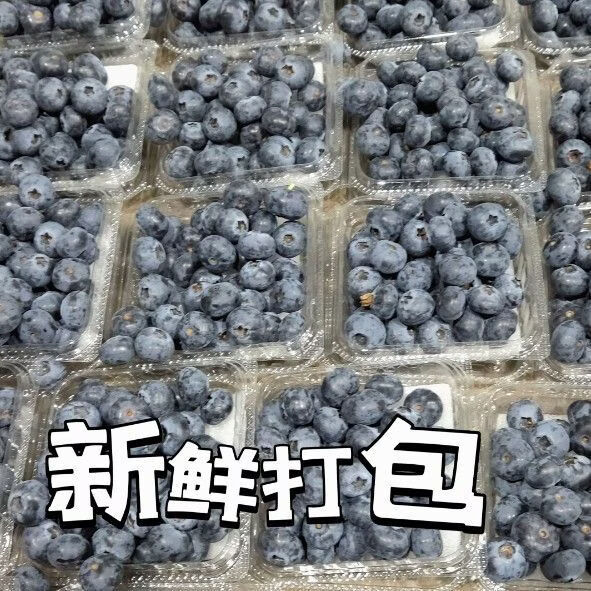 缦语【顺丰发货】云南花香蓝莓露天生态种植宝宝脆甜多汁营养健康 6盒【金标15mm+】 125g/盒【 顺丰上门 I 空运冷链】