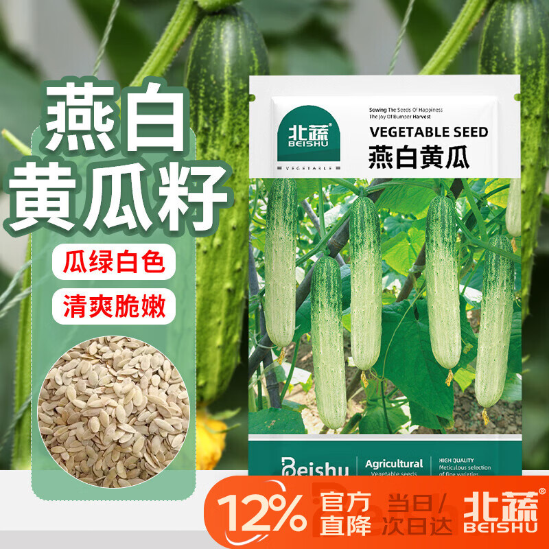 北蔬 黄瓜种子种苗水果黄瓜早熟秋四季盆栽蔬菜种籽 燕白黄瓜种子50粒