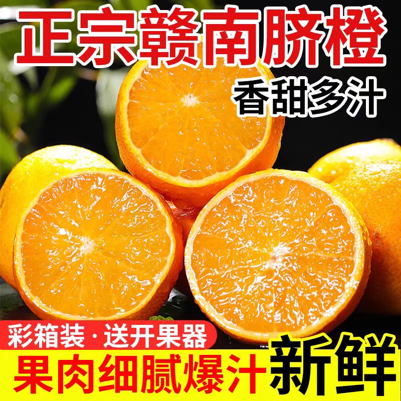 果领队正宗江西赣南脐橙新鲜现摘【当天发货】赣南甜橙香甜爆汁手剥橙子 10斤【口感巨好】生态果|70-90mm起-净重9斤