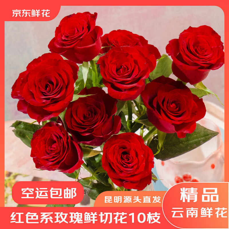 京东鲜花云南昆明基地鲜花红色玫瑰10枝（45-50cm）生活鲜花源头直发