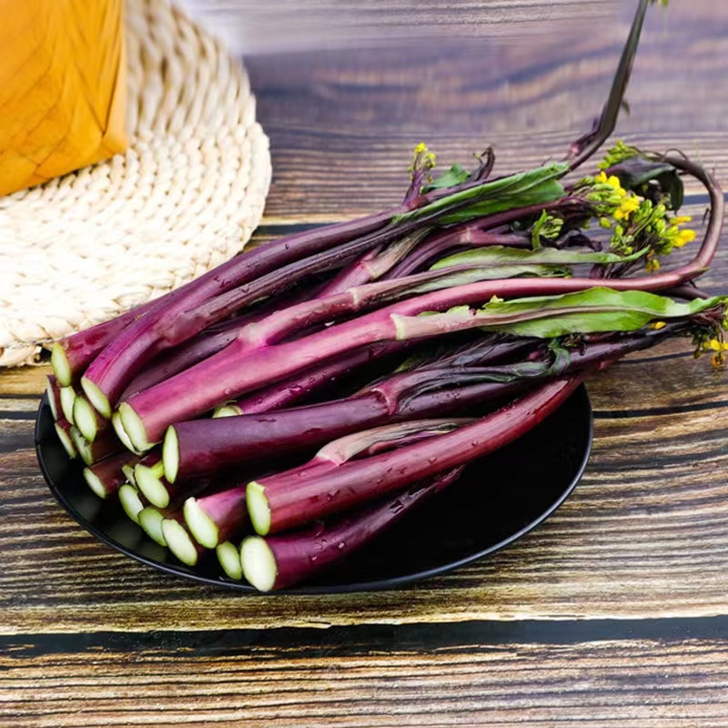 现摘红菜苔湖北红菜苔蔬菜红菜苔菜心紫菜苔油菜苔菜心芸菜苔便宜 净重1斤 露天种植 脆嫩红菜苔 泡沫箱+保鲜膜锁鲜发货