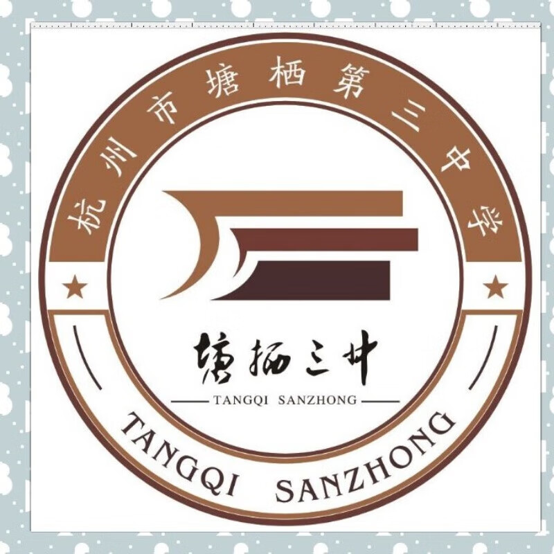 COMIC SOUL塘栖三中 夏装 校服 专拍冬装.秋装 夏装T恤 留言年级 150 预定或155随机发