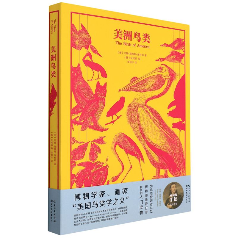 美洲鸟类(精)
