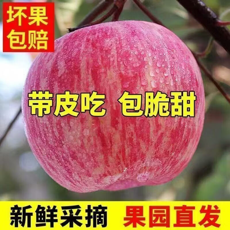 【爆甜】陕西正宗红富士苹果当季新鲜水果丑冰糖心一整箱皮薄多汁 膜袋富士70mm+带箱9斤
