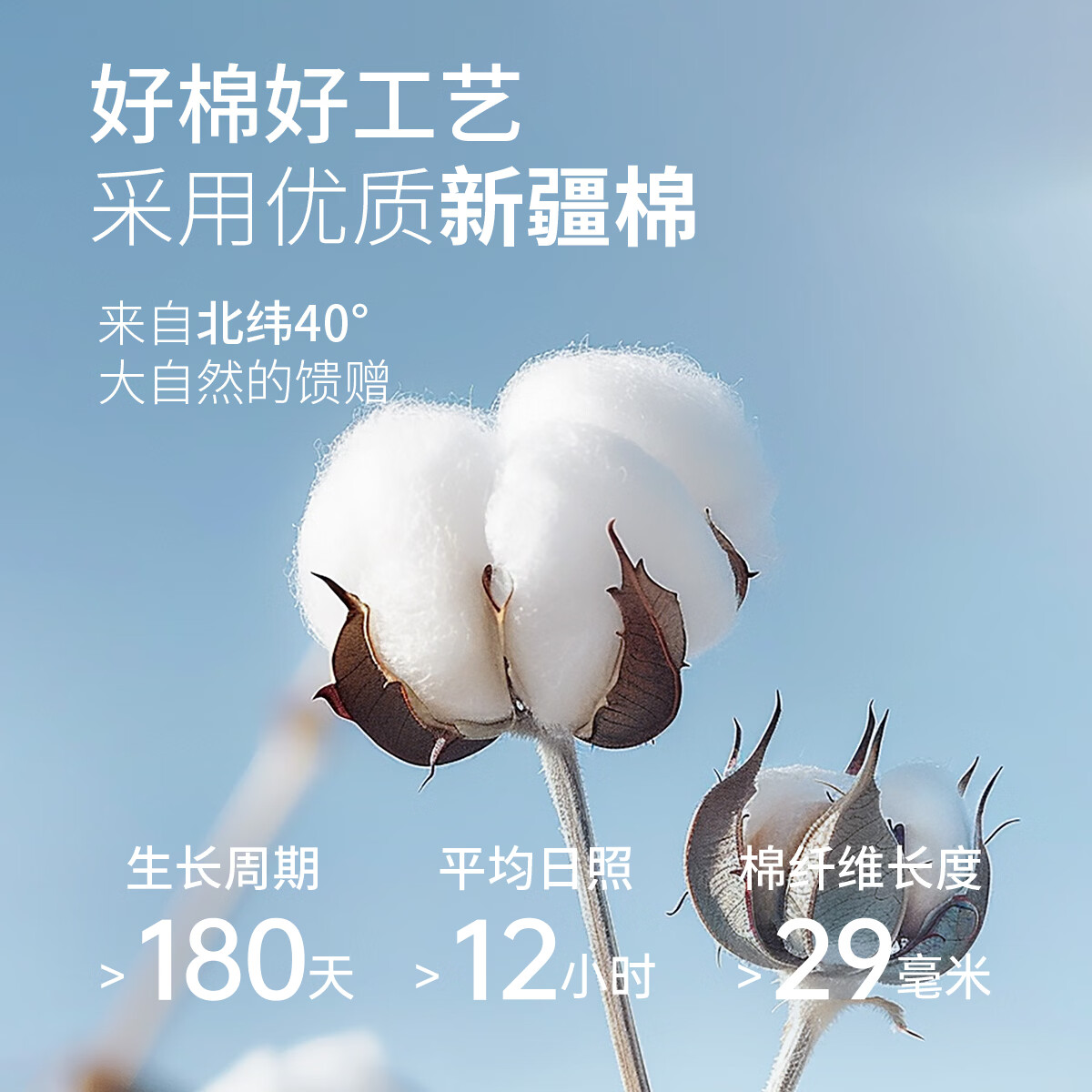 笛莎（DEESHA）【纯棉抑菌 40S紧密纺】儿童保暖内衣中大童女童秋衣秋裤套装 浅绿开心蜗牛（半高领） 150