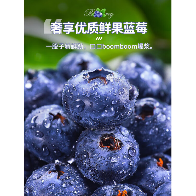 胖东来同款高山蓝莓蓝莓鲜果新鲜水果云南蓝莓高山花香怡颗甜莓大 4盒 小果【12-15mm】单盒125g  颗颗精选