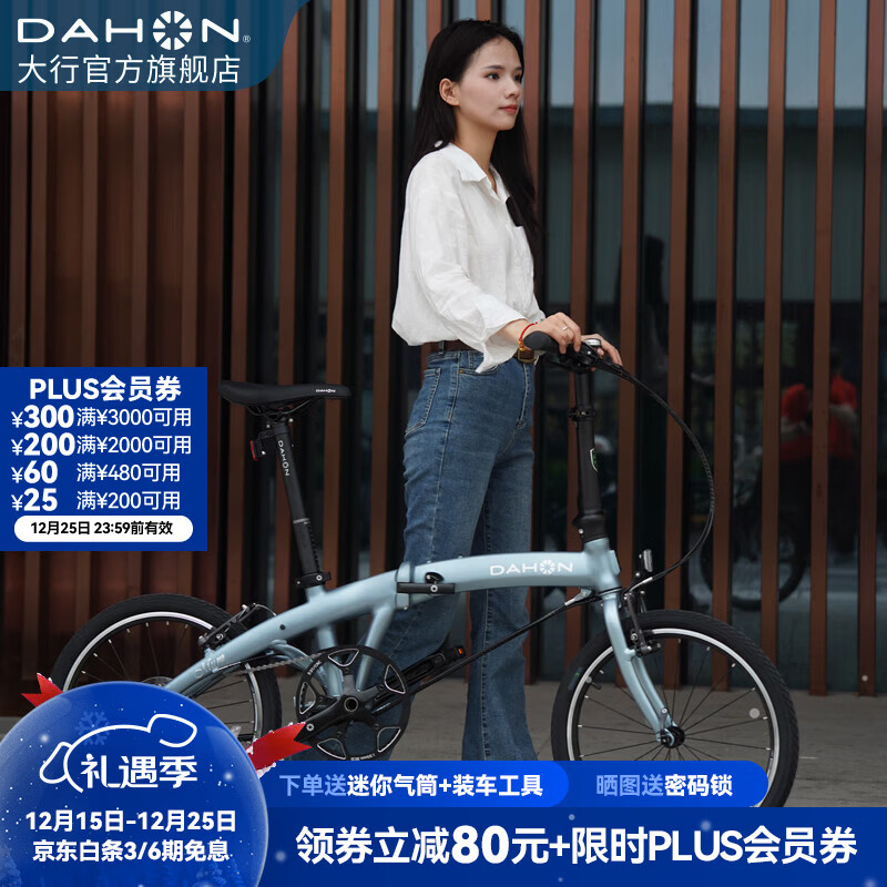 大行（DAHON）P10折叠自行车20英寸10速铝合金男女运动通勤V刹折叠车PAA003 消光灰蓝