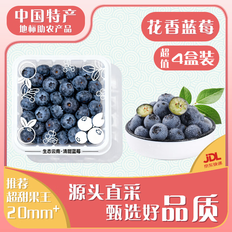 闽域寻鲜云南花香蓝莓【JD/邮政空运-多地次日达】产地直发超大果鲜莓送礼 4盒【单果20mm+】125g/盒(净100g)