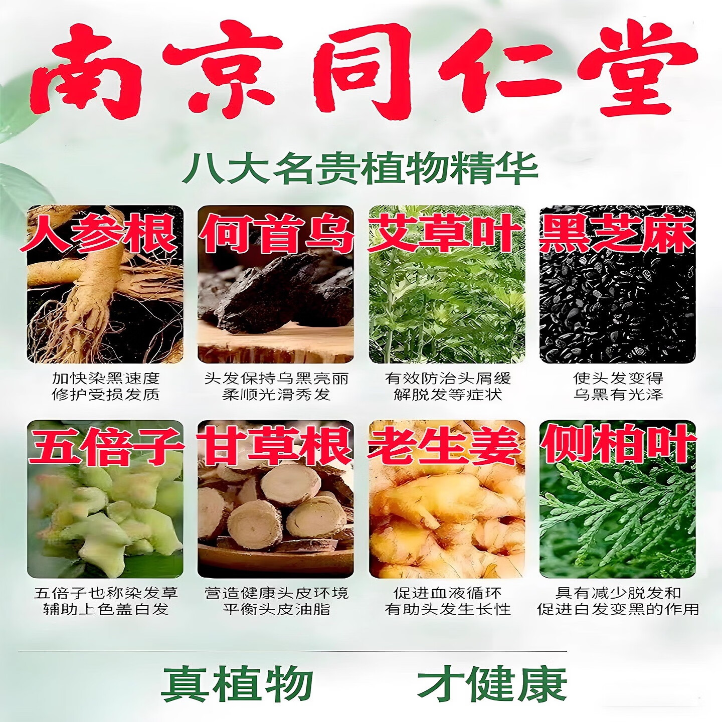 南京同仁堂孕妇染发膏剂100%天然植物萃取无刺激不沾头皮盖白发男女士泡泡染 黑茶色 【不满意包退 】正品