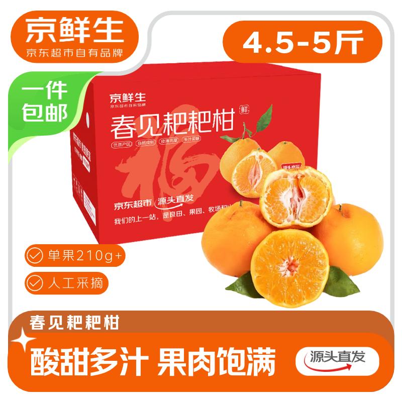 京鲜生 四川春见耙耙柑净重4.5-5斤 单果210g+ 年货礼盒 源头直发包邮