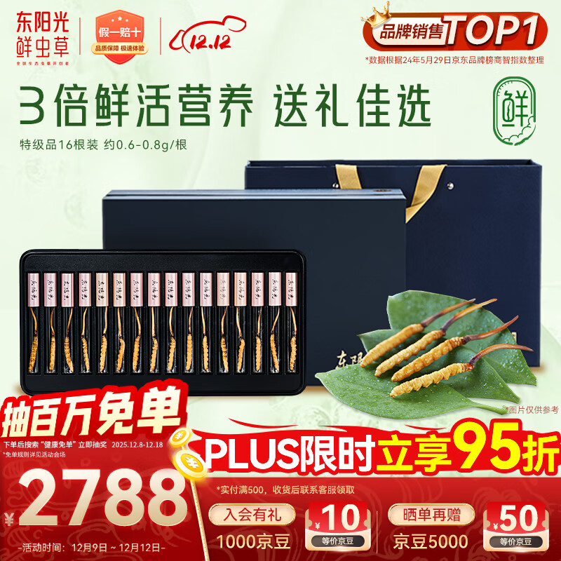 东阳光鲜虫草0.6-0.8g/根16根新鲜冬虫夏草补品送长辈老人源头直发包邮