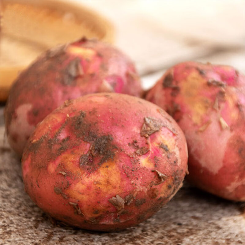 ţ���� ��Ƥ�������� �������������� ����5�ﾻ��4.5�� 6.9Ԫ(����ȯ)