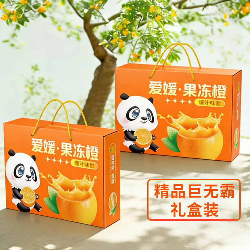馋果野精品爱媛果冻橙新鲜橙子水果甘平产地直采当季水果时令整箱0催熟 精品巨无霸【10颗礼盒装】