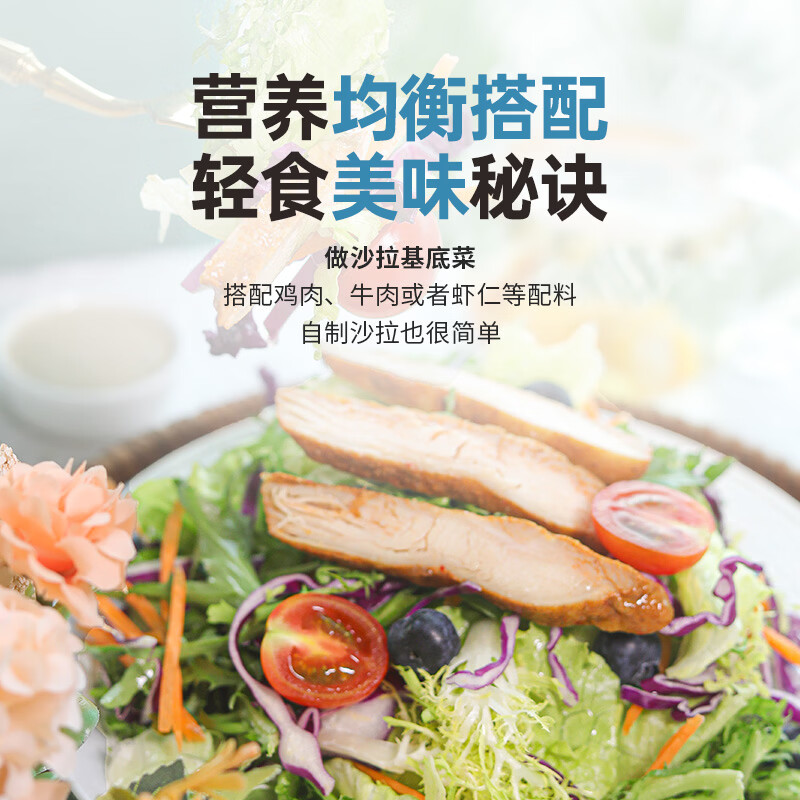 一号农场彩虹什蔬组合免洗新鲜蔬菜开袋即食沙拉菜管理期健身代餐轻食简餐 彩虹什蔬组合300g+益生菌奇亚籽沙拉汁200g