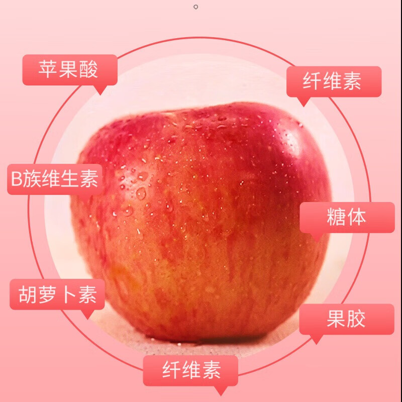 密园小农新疆苹果阿克苏冰糖心苹果新2025鲜当季应季时令丑苹果水果红富士 8斤 单果80-85mm【品质大果】
