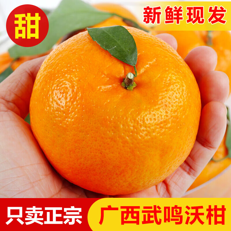 薏品甄鲜广西武鸣沃柑新鲜上市 鲜嫩化渣高糖低酸 现摘现发新鲜直达 60mm+净重8.5斤