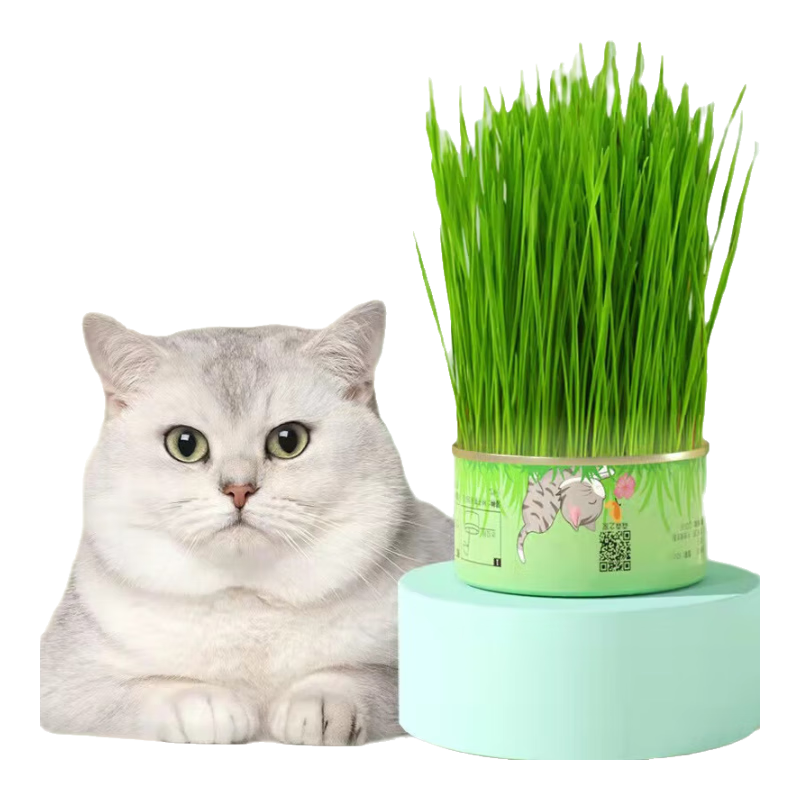 欢宠网猫草套装猫草种子盆栽懒人罐头水培土培种植猫零食猫咪化毛猫薄荷